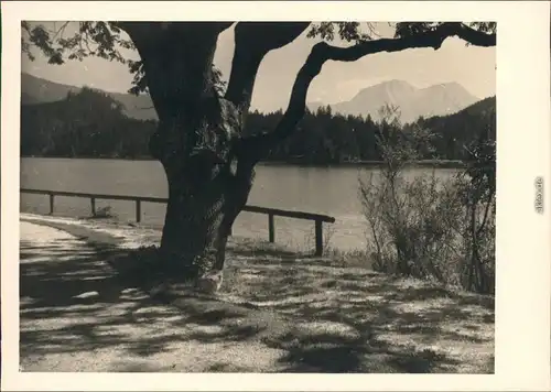 Ramsau (Wimbachtal) Am Hintersee 1954 Privatfoto