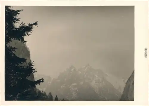 Berchtesgaden Die Palvenhörner im Ferndunst 1954 Privatfoto