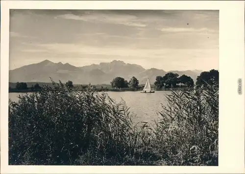Chiemsee Panoramablick über den See 1954 Privatfoto