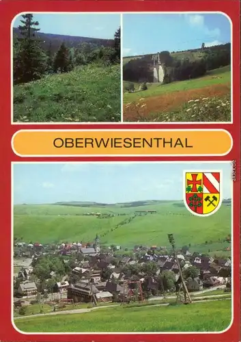 Oberwiesenthal Bärwurzwiesen im Naturschutzgebiet Sprungschanzen,  1987