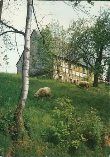  Glückwunsch - Pfingsten mit Bauerngehöft und Schafen 2000