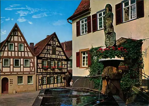 Marbach am Neckar Schillers Geburtshaus und Wilder-Mann-Brunnen 1980