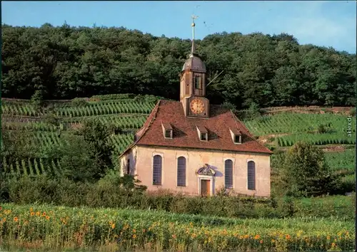 Pillnitz Weinbergskirche "Zum Heiligen Geist" im Weinberg 1990