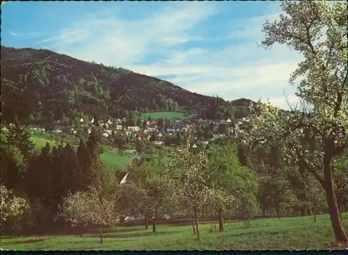 Ansichtskarte Badenweiler Blick zur Stadt 1980