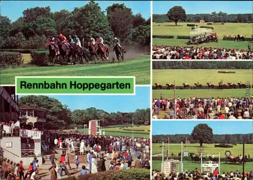 Dahlwitz Hoppegarten VEB Vollblutrennbahnen mit vielen Besuchern Rennen 1981