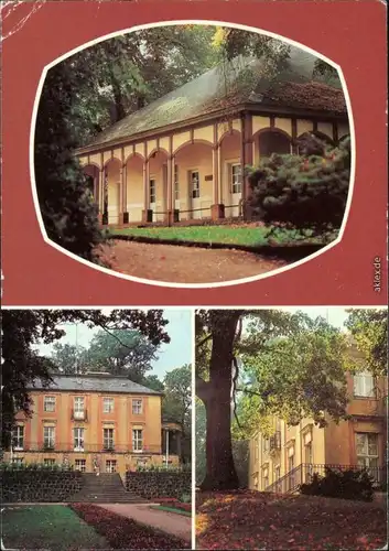 Bad Freienwalde Im Stadtpark Ansichtskarte 1981