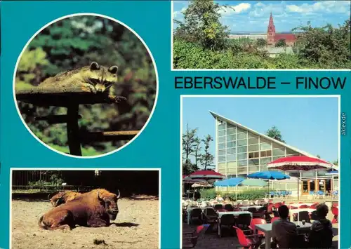 Finow Eberswalde Im Tierpark Ansichtskarte 1981