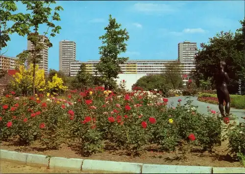 Frankfurt (Oder) Botanischer Garten Ansichtskarte 1983