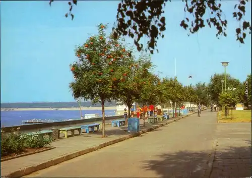 Lossow Frankfurt (Oder) Strandpromenade Ansichtskarte 1982