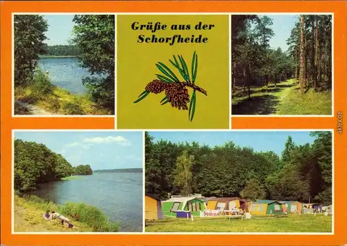 Schorfheide Großväter-See, Waldweg, Werbellinsee, Campingplatz am  1984