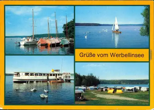 Schorfheide Bootshafen, Am Werbellinsee, MS "Altwarp"   Zeltplatz 1984