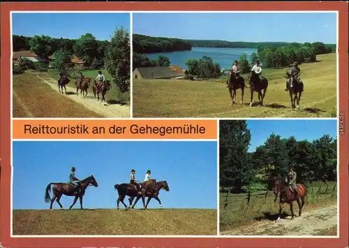 Angermünde Reittouristik an der Gehegemühle und dem Umland 1985