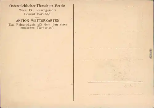 Wien Hund, Das Bündel als Wetterprophet, Österreichischer Tierschutzverein 1932