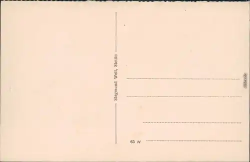 Stettin Szczecin Partie am Parkhaus Ansichtskarte 1922