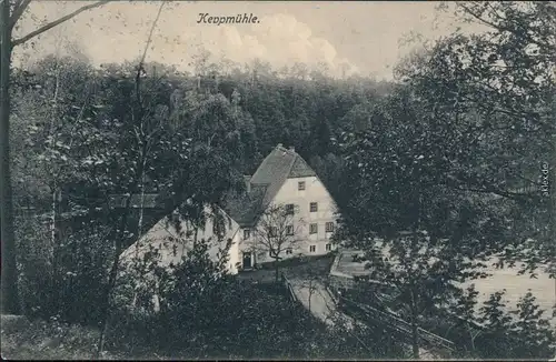 Hosterwitz Dresden Partie an der Keppmühle Ansichtskarte 1908