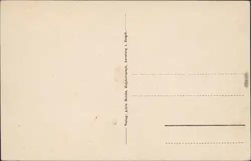 Wiesa Erzgebirge Wiesenbad Stadtpartie Ansichtskarte 1924