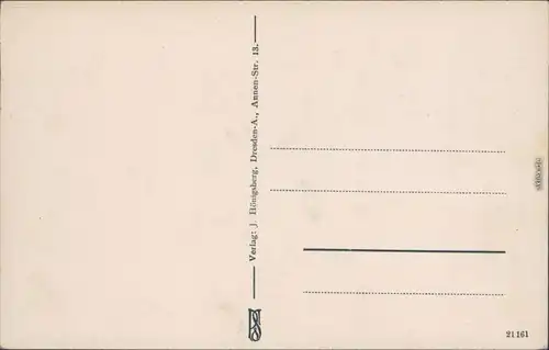 Moritzburg Wildfütterung von Wildschweinen im Gehege 1914