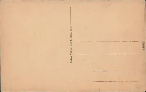 Peine Hagenmarkt Ansichtskarte 1912