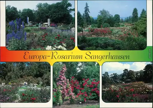 Sangerhausen Europa-Rosarium Ansichtskarte 1989