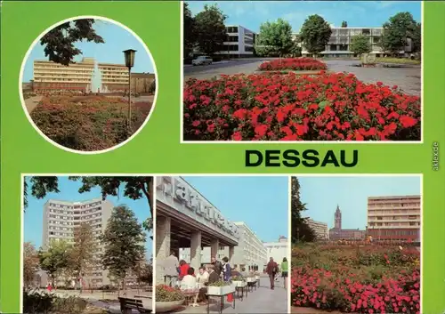 Dessau Haus des Reisens, Bauhaus, Hochhaus, Café Africana, Rathaus 1981