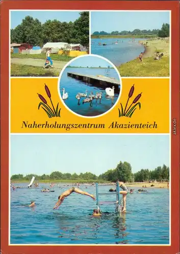Ansichtskarte Aken Steutz Naherholungszentrum Akazienteich 1985
