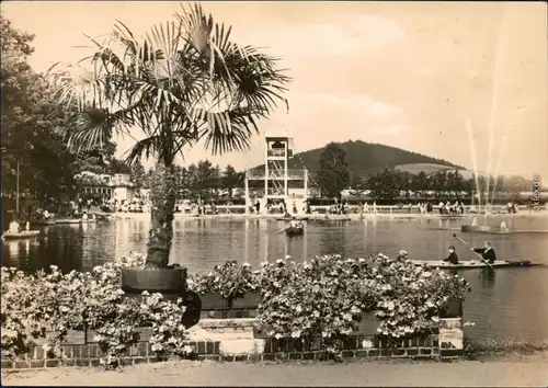 Großschönau (Sachsen) Waldstrandbad  Ansichtskarte  1962