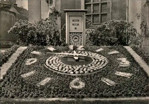 Großenhain Blumenuhr  Ansichtskarte 1966