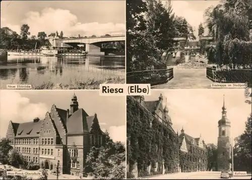 Riesa Neue Elbbrücke, Freitreppe im Stadtpark, Max-Planck-Oberschule 1962