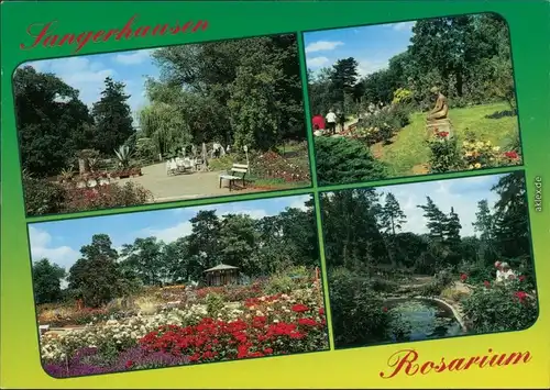 Sangerhausen Rosarium Ansichtskarte  xx 1987