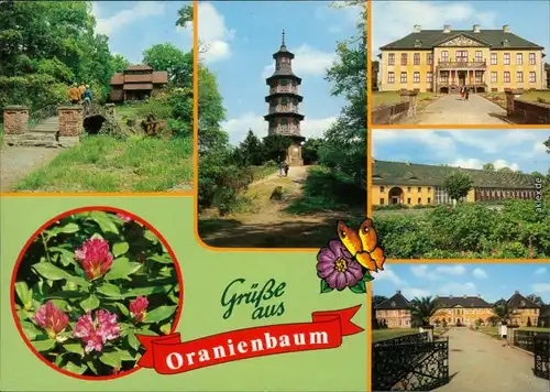 Wörlitz Oranienbaum Chinesisches Teehäuschen, Rhododendron im Schlosspark,1987