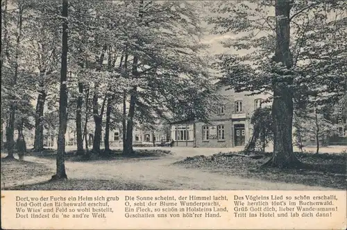 Barmstedt Partie am Hotel Grüner Wald Ansichtskarte 1932