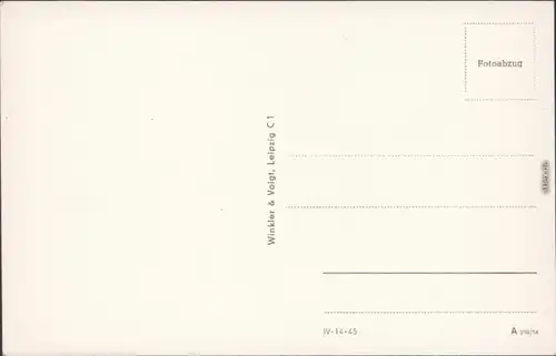 Ansichtskarte Buckow (Märkische Schweiz) Prtie an der Wurzelfichte 1954 