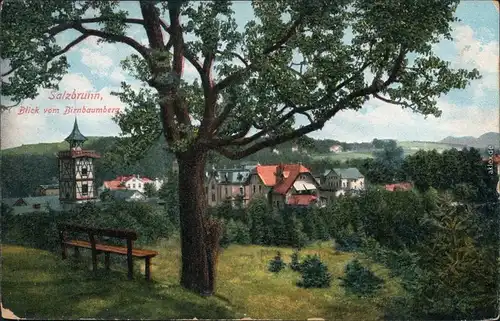 Ansichtskarte Bad Salzbrunn Szczawno-Zdrój Blick vom Birnbaumberg 1914 
