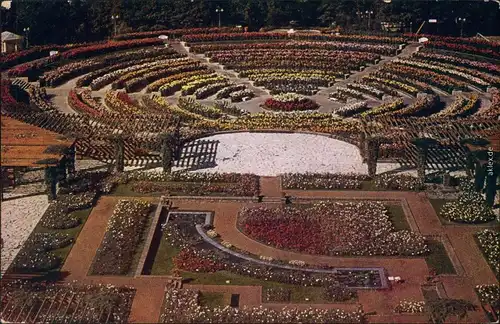 Ansichtskarte Essen (Ruhr) GRUGA -   Dahlienarena in voller Blüte 1932 