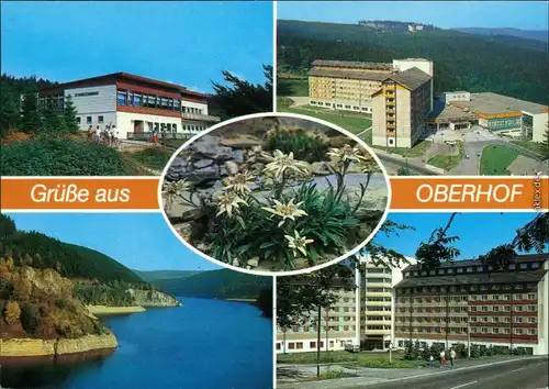 Oberhof (Thüringen) Schanzenbaude, FDGB-Erholungsheime, Edelweiß im   1990