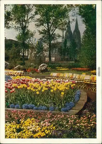 Ansichtskarte Köln Coellen | Cöln Bundesgartenschau 1957