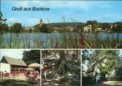 Buckow: HO-Gaststätte Bollersdorfer Höhe, Wurzelfichte, Brecht-Weigel-Haus 1987