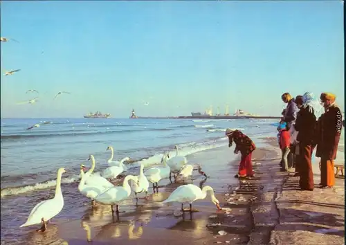 Ansichtskarte Warnemünde-Rostock Winter am Strand 1980