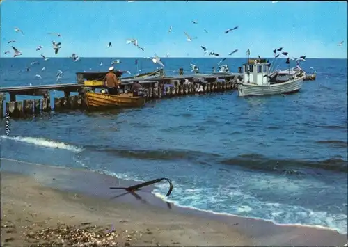 Mecklenburg Vorpommern Kahn und Boot am Anlegesteg Ufer Möven  Fischfang 1982