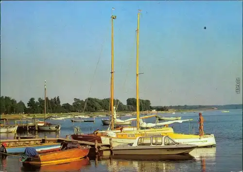 Ansichtskarte Rerik Bootshafen im Salzhaff mit vielen Booten 1980