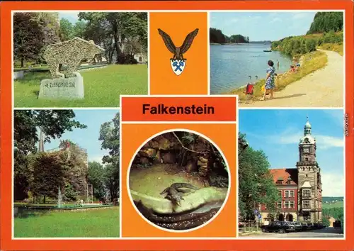 Falkenstein (Vogtland) Am  Talsperre, Tierpark - Krokodil, Rathaus 1983