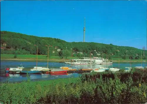 Ansichtskarte Dresden Elbansicht mit Fernsehturm 1977