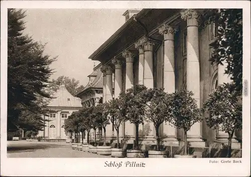 Ansichtskarte Pillnitz Schloss Pillnitz 1964