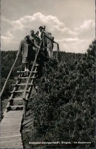 Zinnwald Georgenfeld-Altenberg (Erzgebirge)  Holz-Brücke 1963