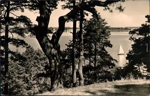 Ansichtskarte Goyatz-Schwielochsee Blick auf den kleinen Schwielochsee 1961 