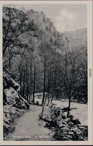 Ansichtskarte Treseburg Am Waldkater 1962