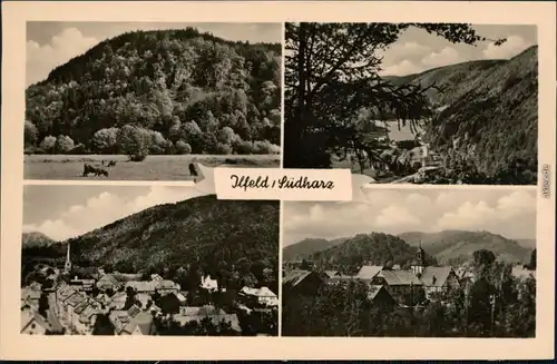 Ansichtskarte Ilfeld-Harztor Wiese mit Berg, Überblick 1956