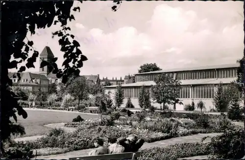 Ansichtskarte Neumünster Kirche mit Park und Halle im Vordergrund 1955