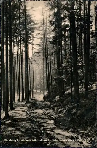 Ansichtskarte Bad Klosterlausnitz Waldweg im schönen Mühlthal 1964