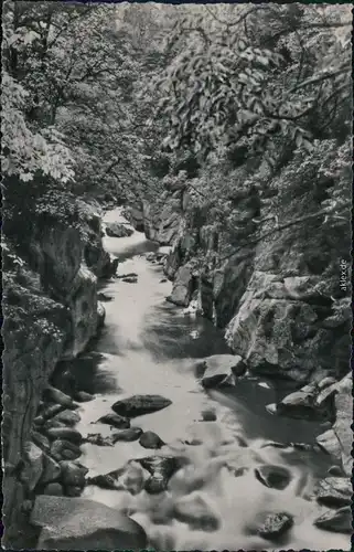 Ansichtskarte Königsruhe Bode / Bodekassel - Stromschnelle 1966